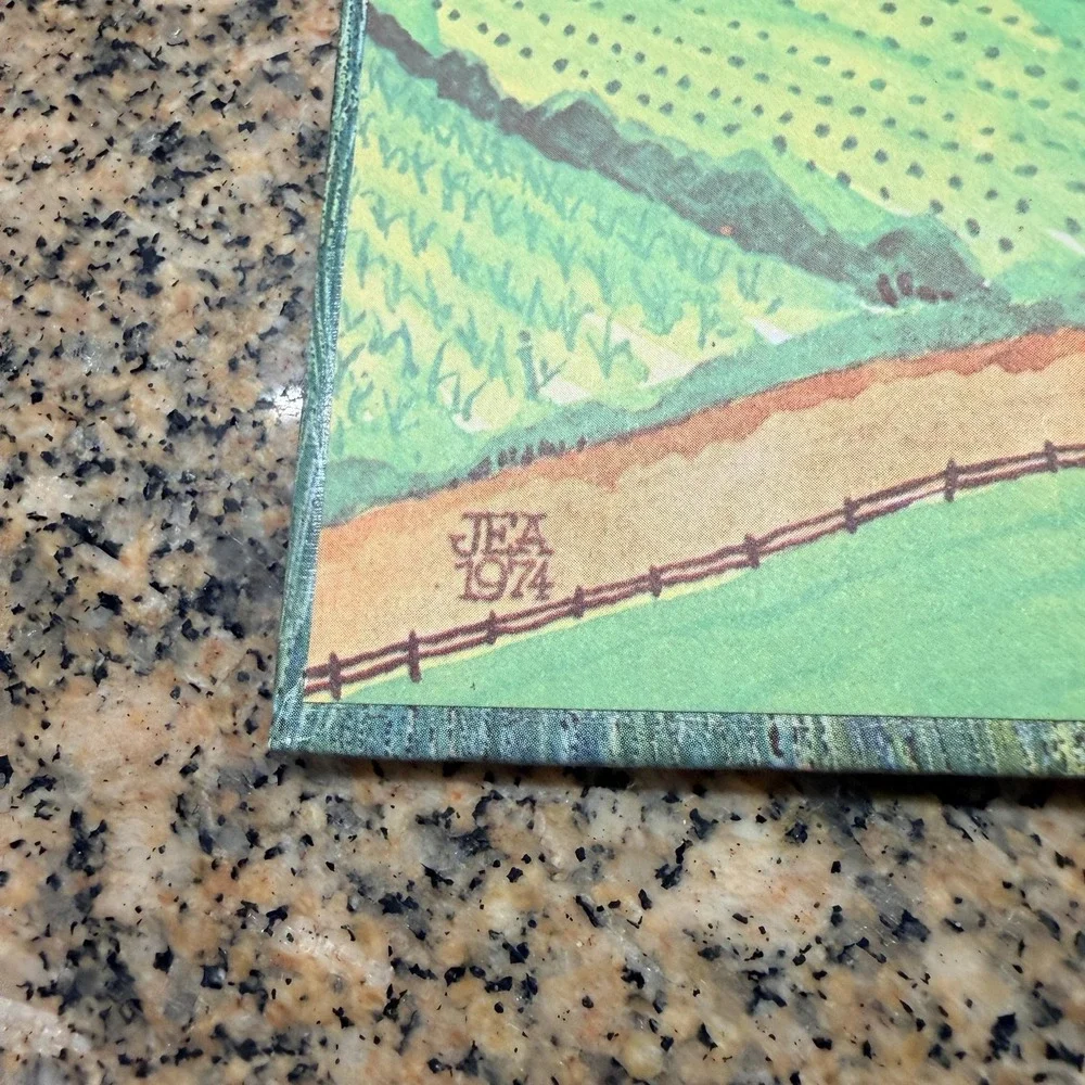 Vintage The Princess Book Ida Chittum Rand McNally 1974 Illustrated Hardcover